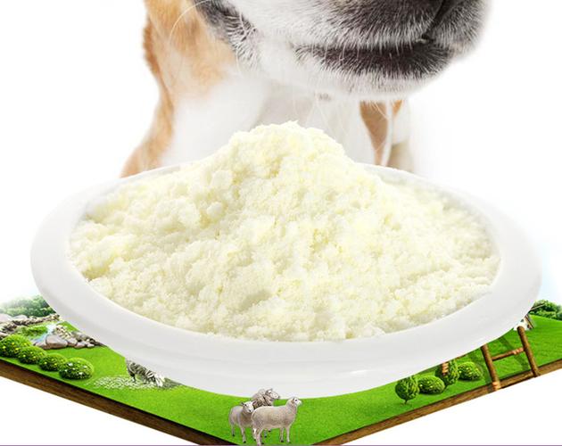 电子羊安卓下载:可爱宠物羊陪你玩!