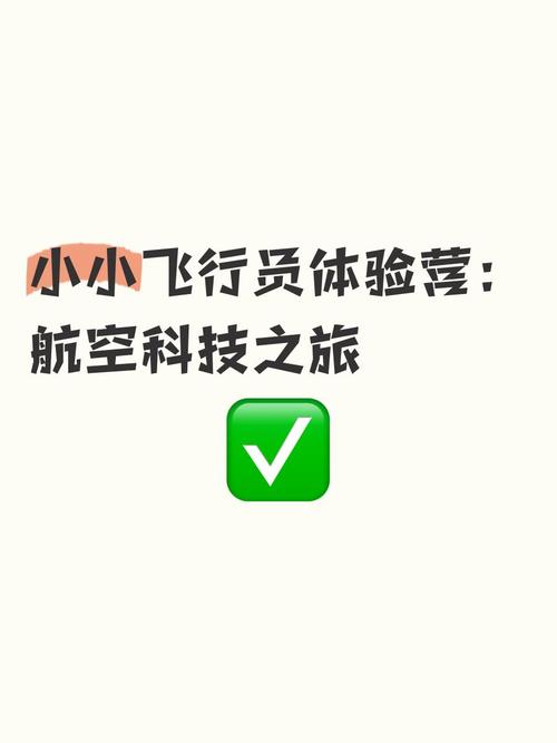 航空公司的游戏介绍:玩转航空模拟,体验管理的乐趣!