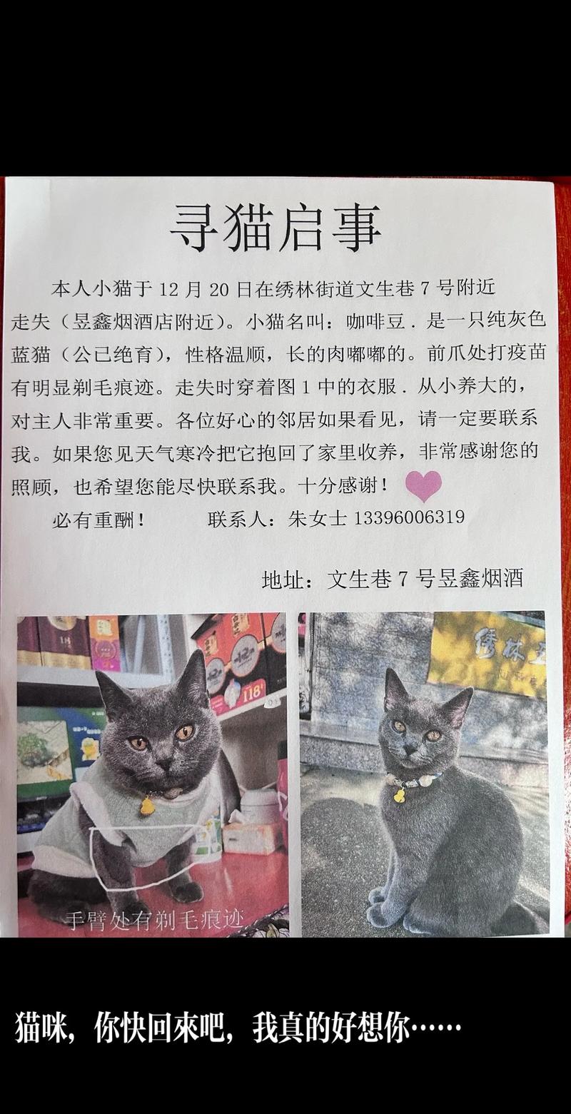 寻找小野猫N上下载地址？这里有你想要的