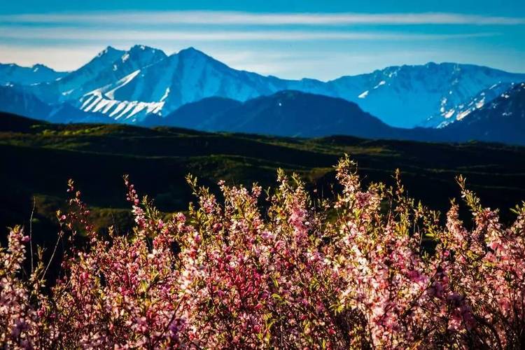 人杏之间汉化版最新更新内容详解，不容错过！