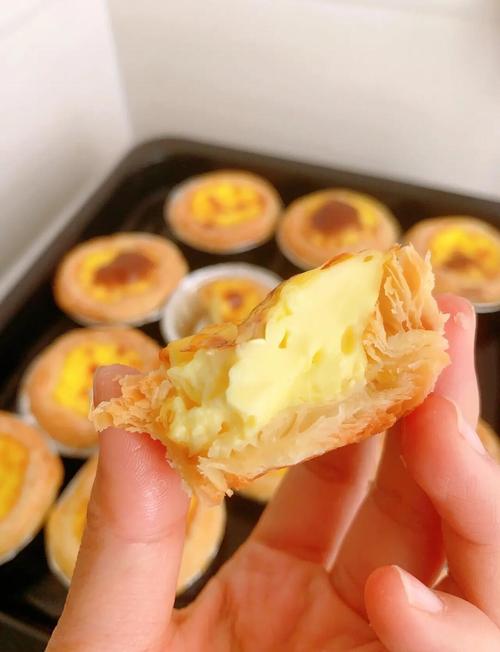 小绿山内有海阁下载教程：新手小白也能轻松上手！