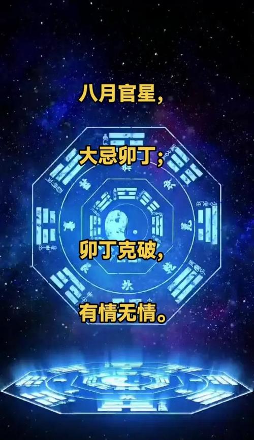 寻找真相：解开八月官方网站背后的故事