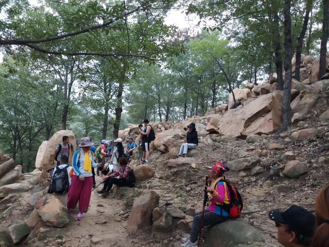 凤凰地址更新了!教你快速找到最新入口