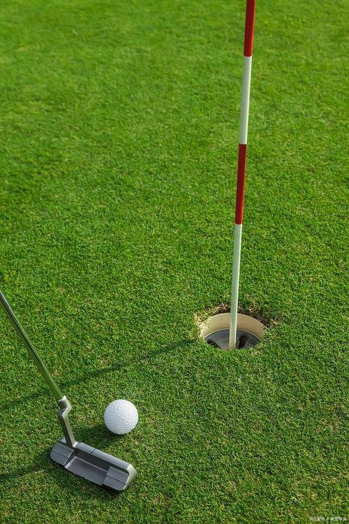 高尔夫是棒球洞的运动游戏下载:卡通休闲,乐趣无限!