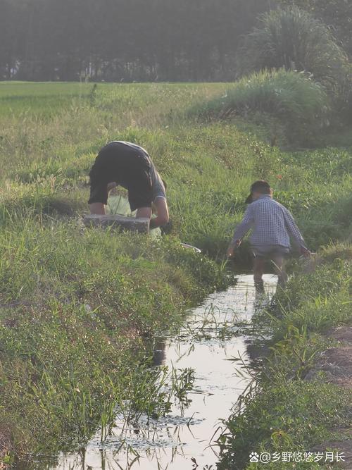 暑假必玩：乡村生活的快乐游戏，体验田园乐趣