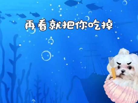 想玩底层临时工复仇洗恼记？这里有官方正式版下载！