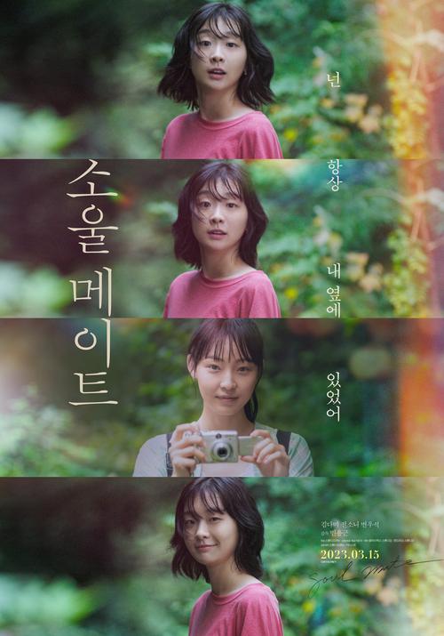 灵魂伴侣最新版本v多少?安卓和PC版下载地址