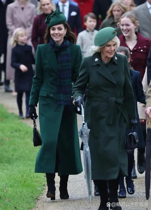 凯特最新版本哪里可以看？超清画质在线播放