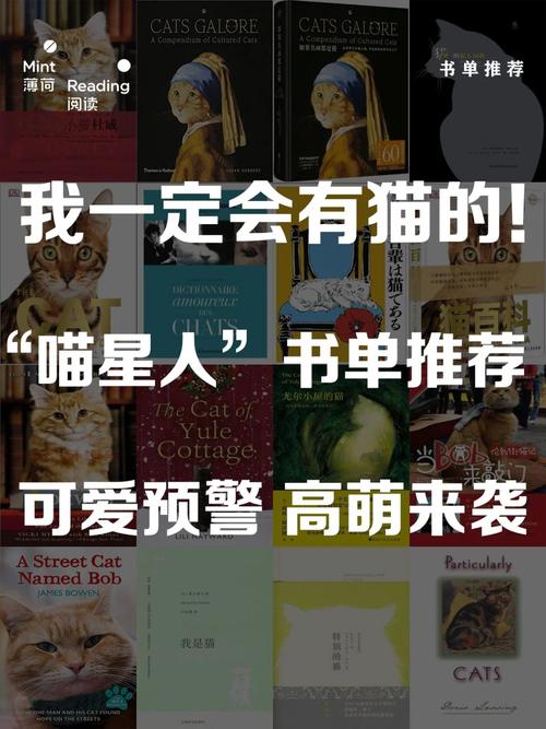 想看奴隶之书?教你快速找到并下载电子书
