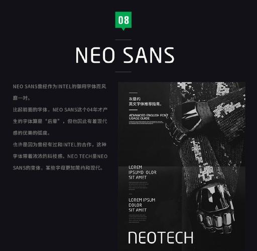 世界之卵版本大全：游戏玩家必备收藏指南！