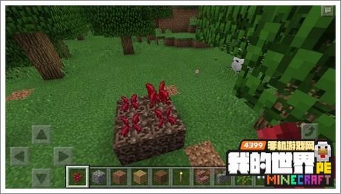 如何下载纯情魅魔的同居生活游戏?这里有最全的教程!