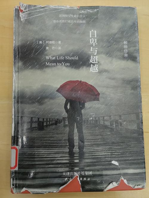 寻找破碎的心灵下载地址？这里有你需要的资源！