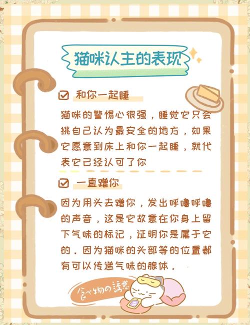 当你的猫咪在哪下载?不同平台下载方法详解!