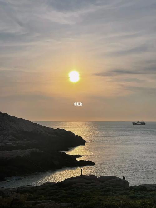 岛主日记下载安卓版:轻松记录你的岛屿生活