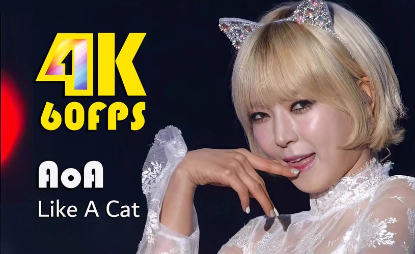 AOA绅士学院版本大全:精挑细选,只为你推荐最好的版本!