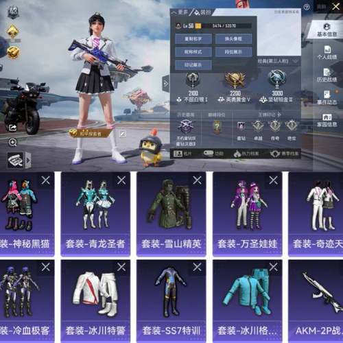 安卓玩家必玩：战甲机索尔冈特下载安装教程