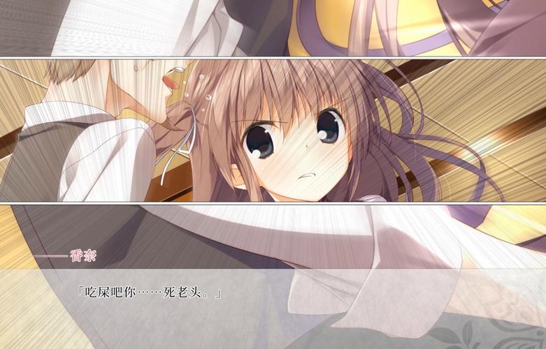 樱之刻在哪下载?安卓直装版下载地址分享