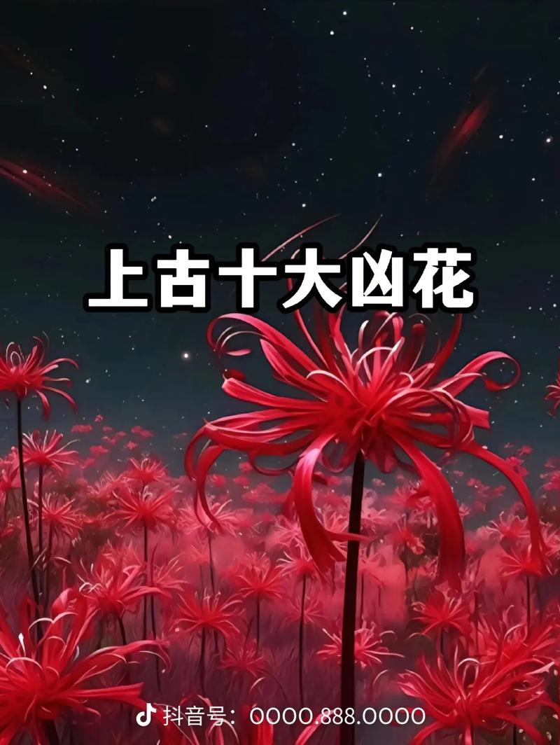 彼岸花最新章节：免费阅读全集无删减，完整版小说在线看！