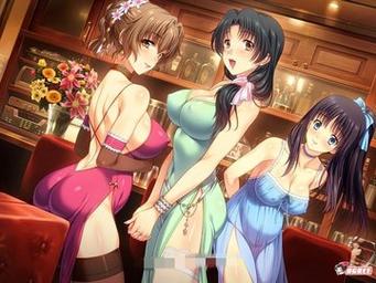 妻中密游戏下载及玩法攻略，助你快速通关