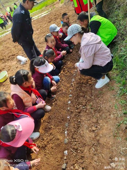 如何下载我的播种农场?超简单下载安装步骤分享