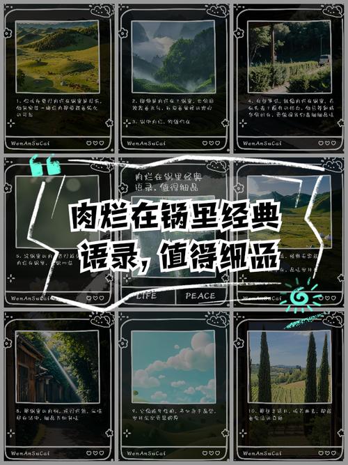 肉烂在锅里游戏攻略详解:轻松玩转游戏技巧