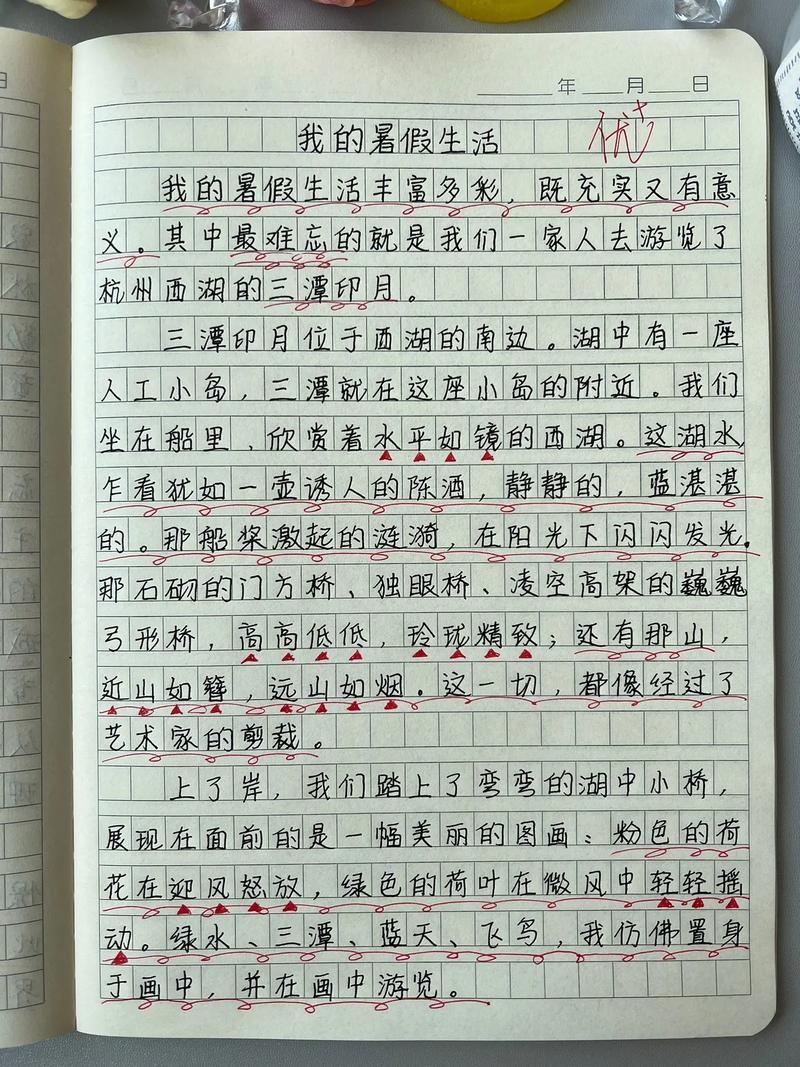 乡村生活的快乐暑假版本大全：我的暑假日记