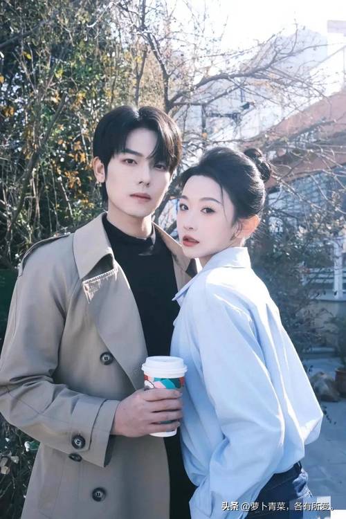 高速下载甜蜜归来:百度网盘、夸克网盘等资源推荐