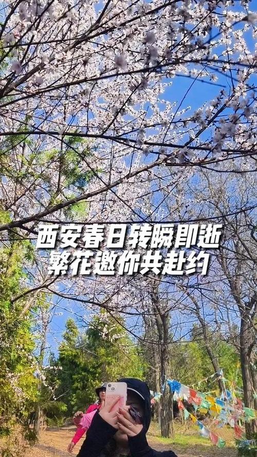 人杏之间汉化版最新更新内容详解，不容错过！