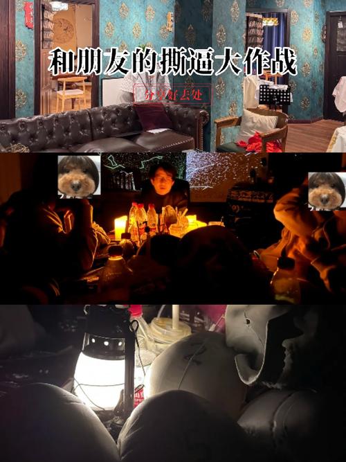 汉娜的徒劳抵抗官方正式版下载最新版:体验刺激剧情