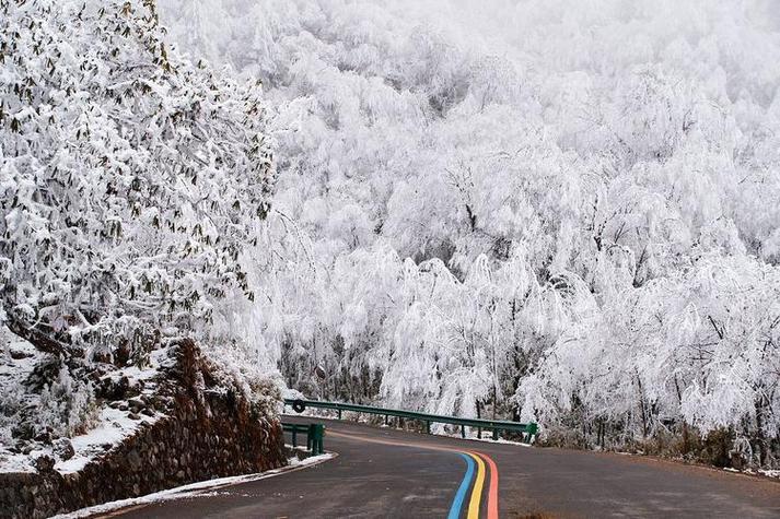 最新尾行3安卓游戏下载:免费无广告,畅玩无阻