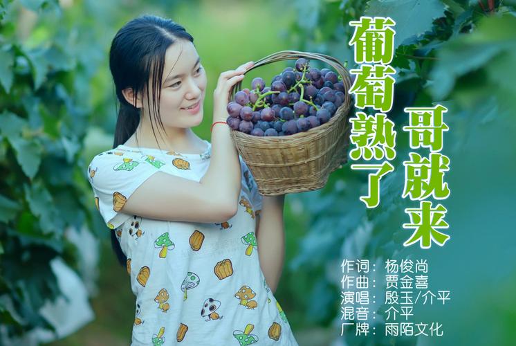 葡萄成熟时歌曲免费下载?超全资源合集推荐给你!