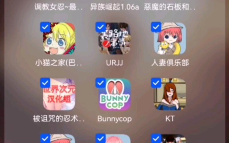 欲望之戒绅士游戏攻略:新手入门及进阶技巧指南