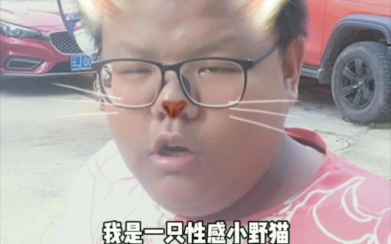 小野猫N在哪下载？安全可靠的下载途径推荐