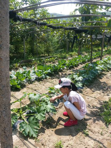 乡下生活最新版本:体验田园牧歌式游戏人生