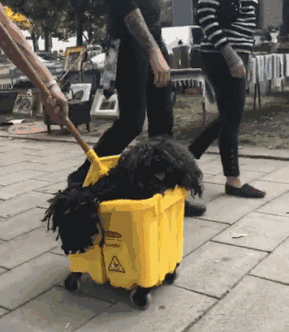 想玩底层临时工复仇洗恼记？这里有官方正式版下载！