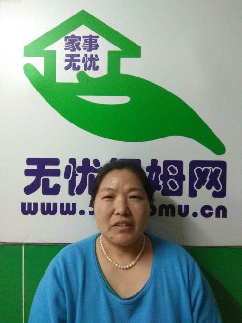 新保姆汉化版下载地址:快速下载,畅玩游戏无忧