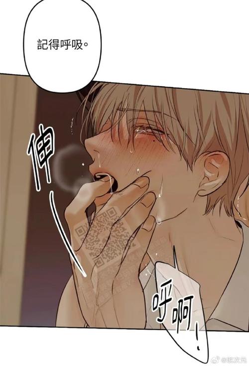 爱欲之都版本大全:完整收录各个版本资源