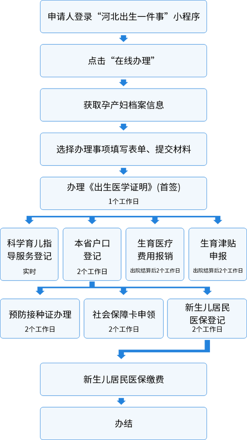 出生证明最新办理指南:快速申领出生医学证明