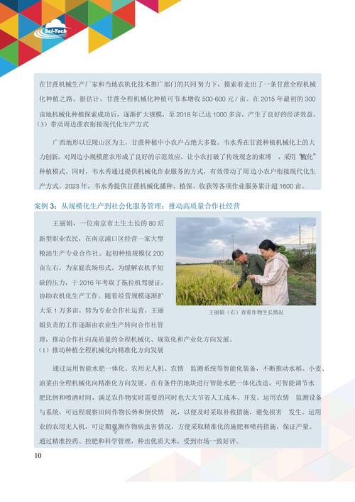 乡村改造最新版本解读:政策变化与未来展望