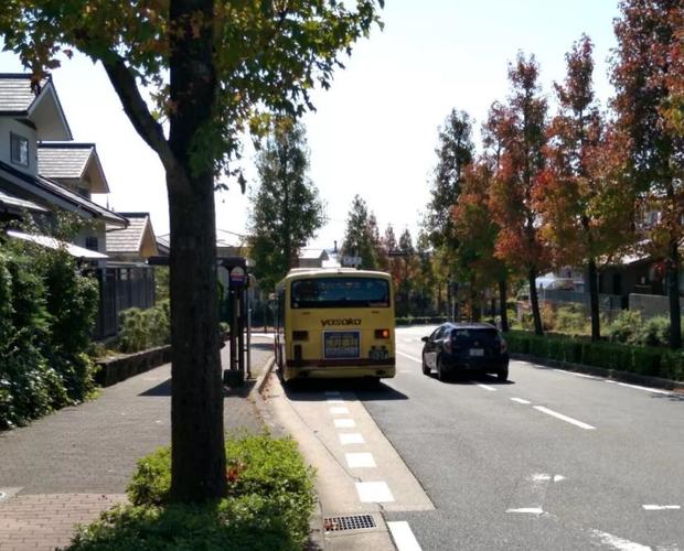 查找时间停止电车官网,官网地址是多少?