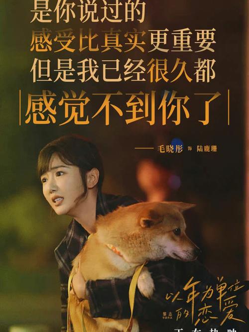 以女友为赌注，地址更新，不容错过的高清资源等你！