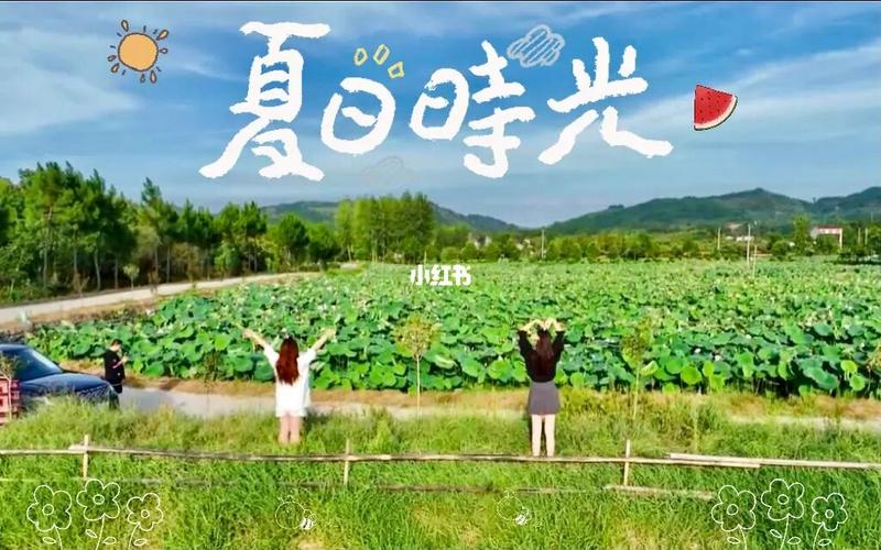 和姐姐一起的夏天3369acG最新版本下载，精彩夏日等你体验！