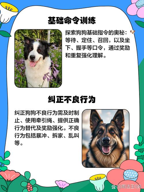 全网最全精灵女上司的训狗术最新攻略：快速通关不迷路