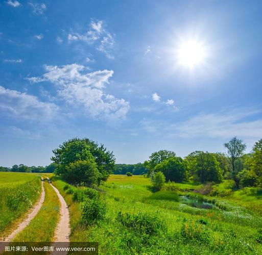 你想知道的阳光下的野兽汉化版最新内容都在这里