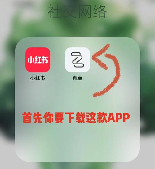 寻找夏日甜蜜回忆？安卓汉化版等你体验