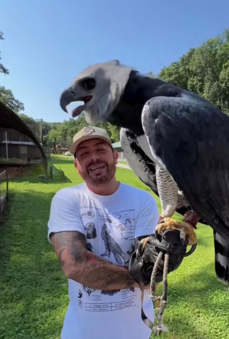 史上最全大雕征服世界官网资源合集