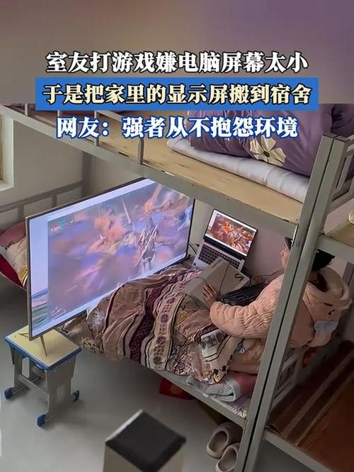 室友1.3最新版本：轻松愉快的游戏时光