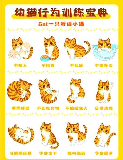 小野猫N在哪下载？安全可靠的下载途径推荐