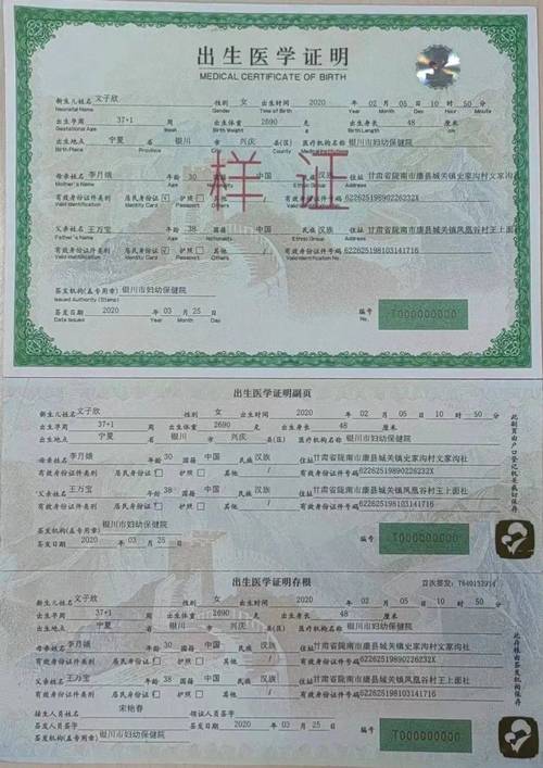 如何查询出生证明的最新版本?关于出生证明第七版的全部信息