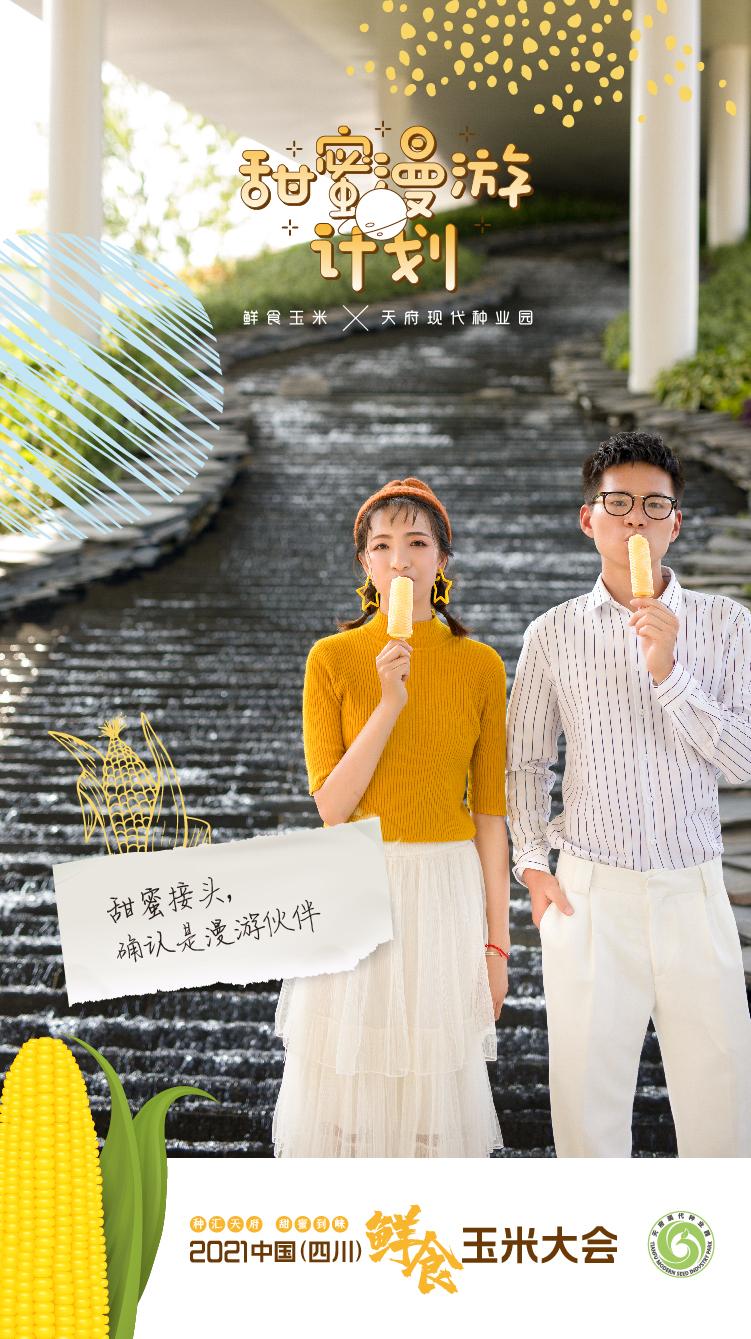 甜蜜归来官网正式上线：开启你的甜蜜之旅